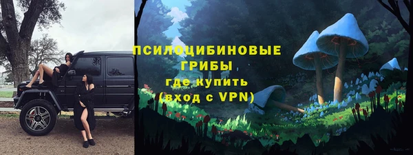 шишки Сатка