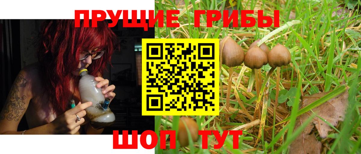 Биробиджан  Галлюциногенные грибы MAGIC MUSHROOMS  Вход с VPN 